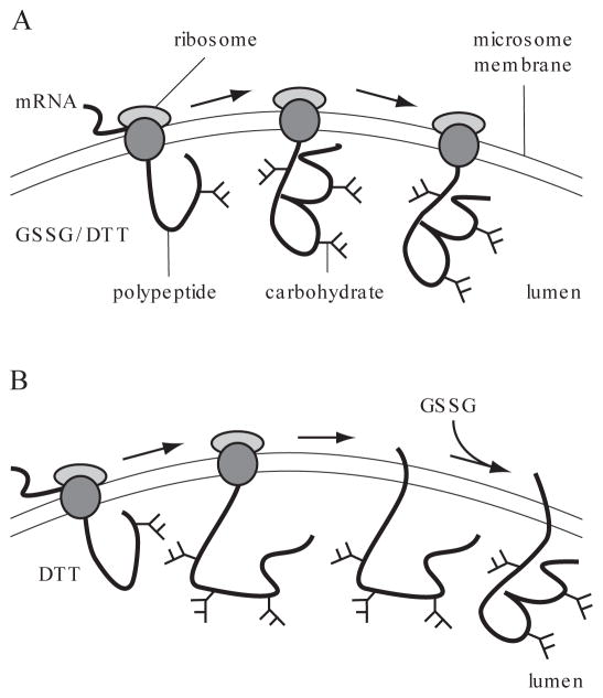 Figure 14.1.1