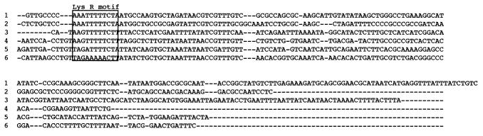 FIG. 6