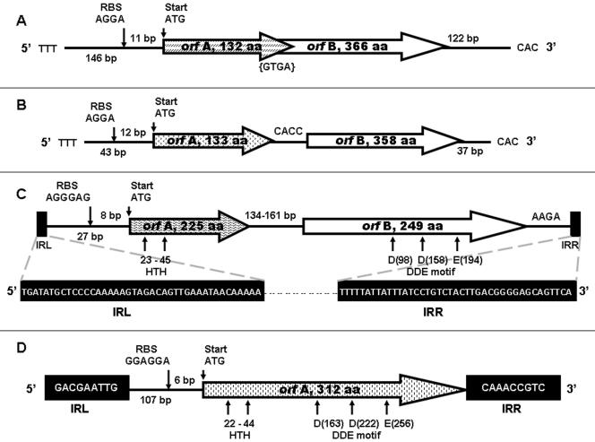 FIG. 2.