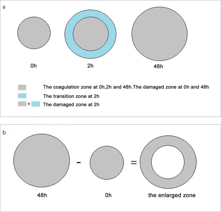 Figure 4. a, b