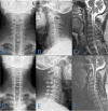 Fig. 5