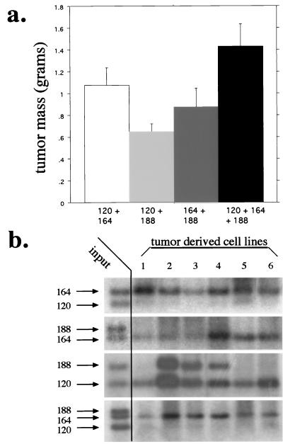 FIG. 7