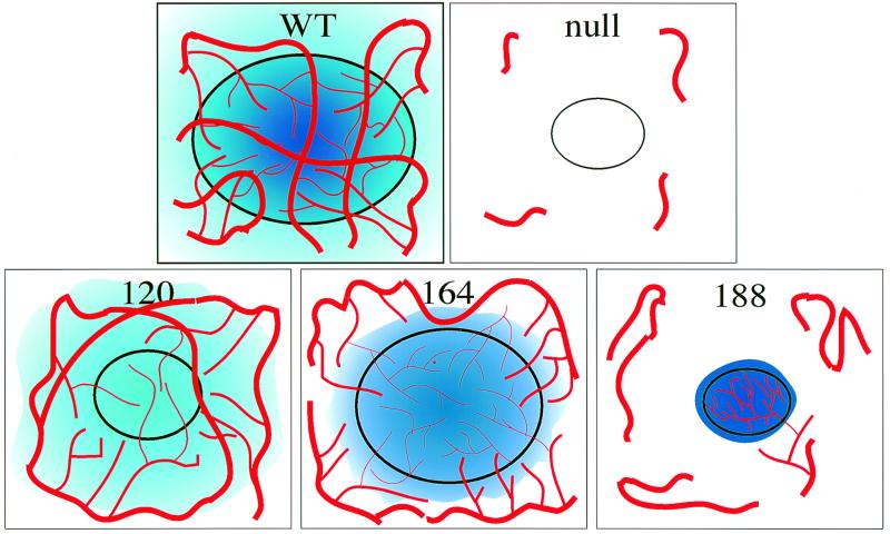 FIG. 8