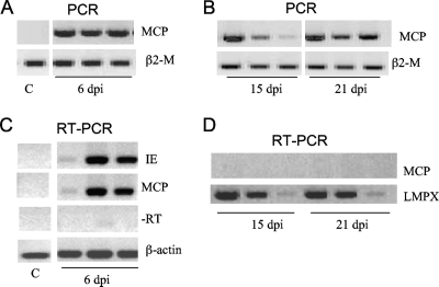 FIG. 7.