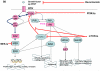 Figure 1b