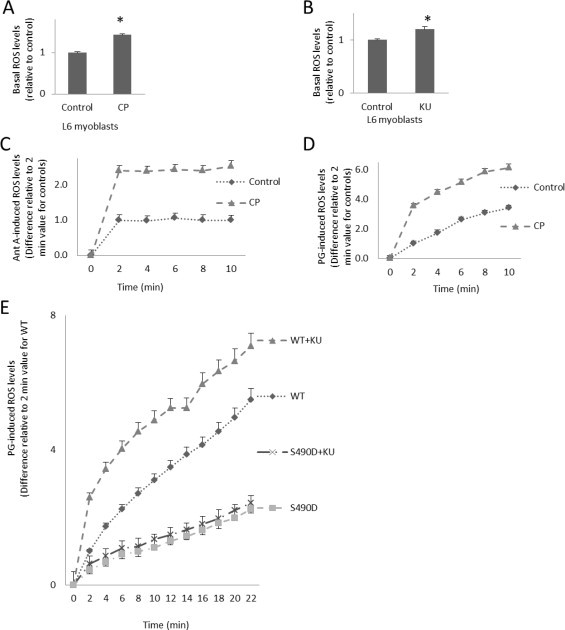 Fig. 3