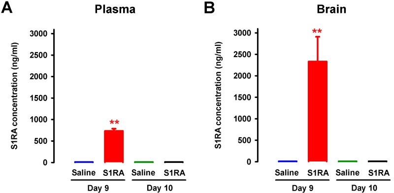 Figure 12