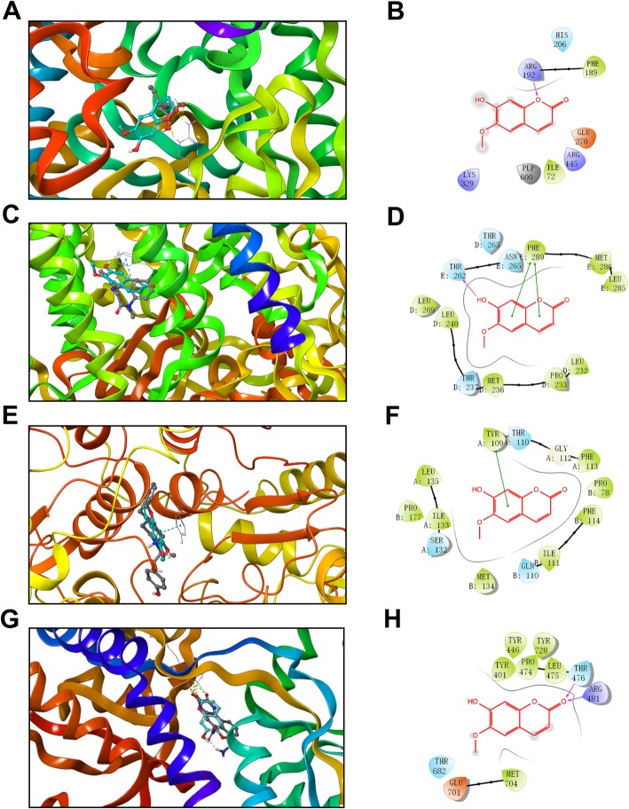 Fig. 7