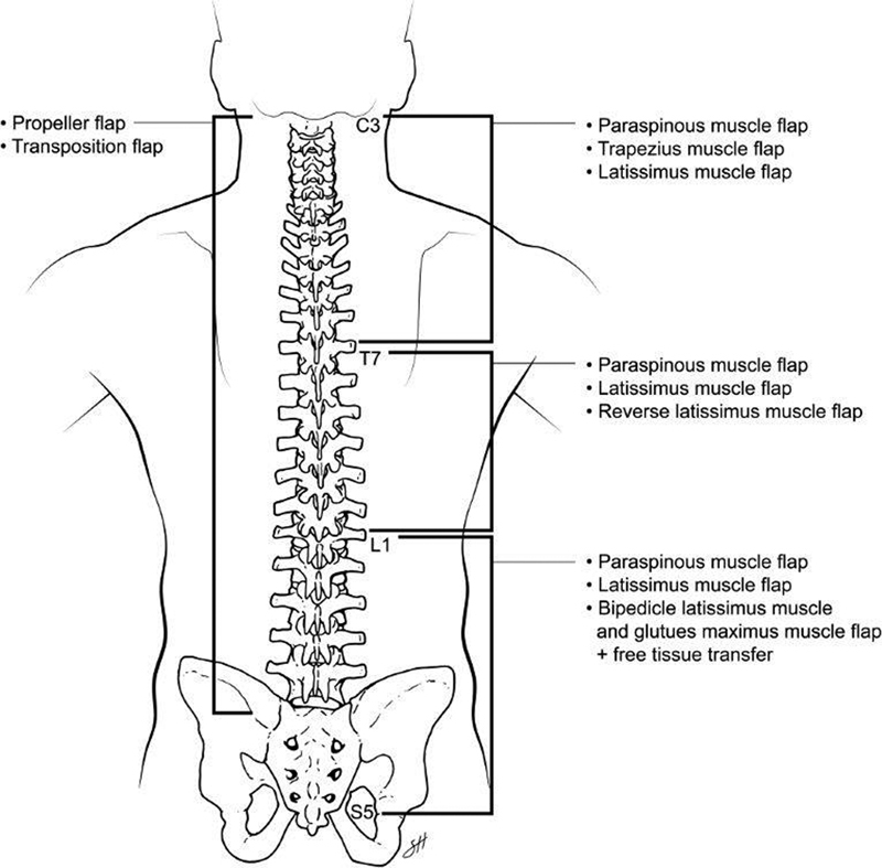 Fig. 9