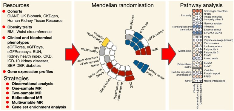 Graphical Abstract