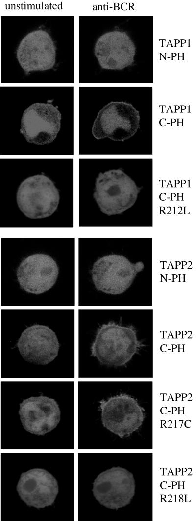 FIG. 6.