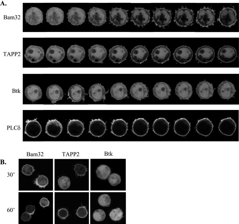 FIG. 7.