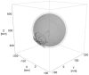 Fig. 10