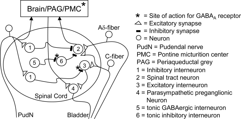 Fig. 9.