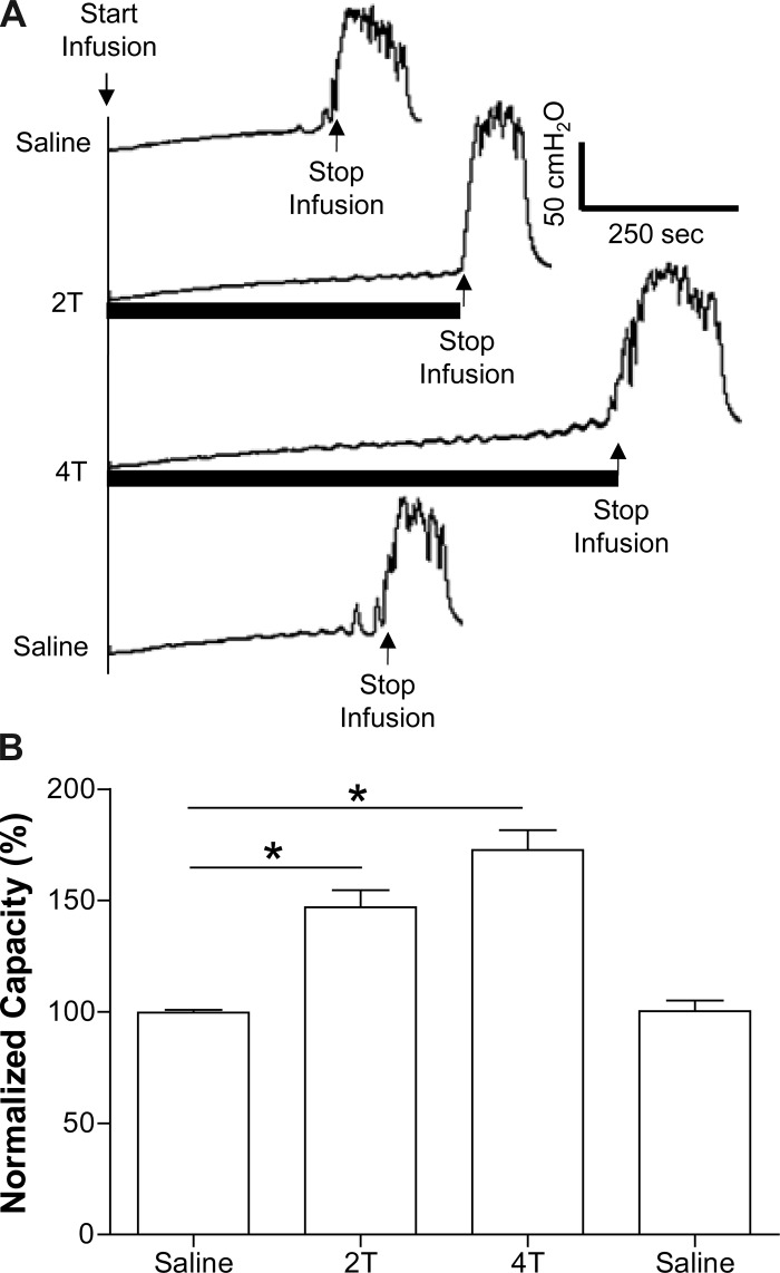 Fig. 5.