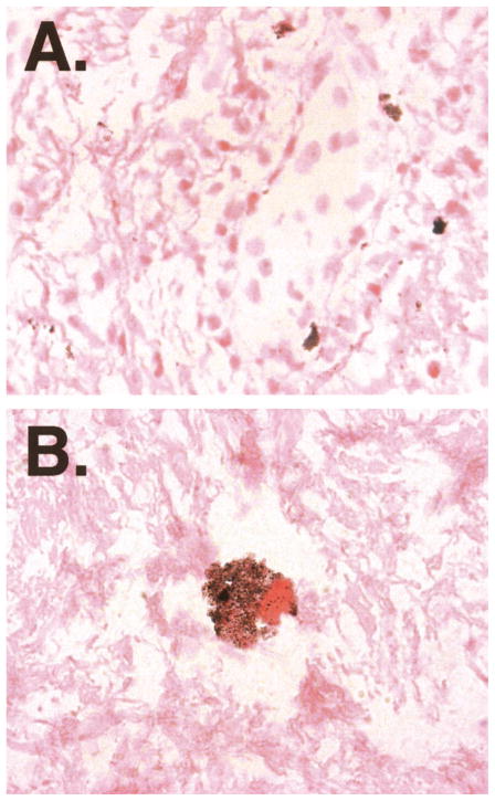 Fig 5