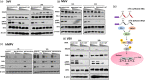 FIG 6