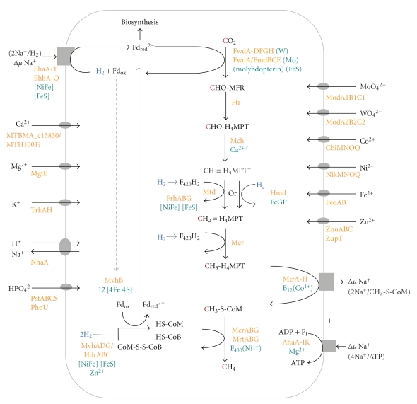 Figure 2