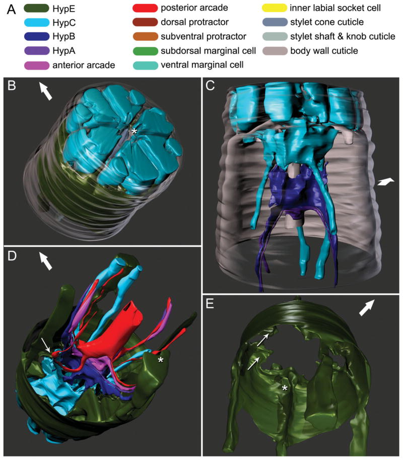 Fig. 2