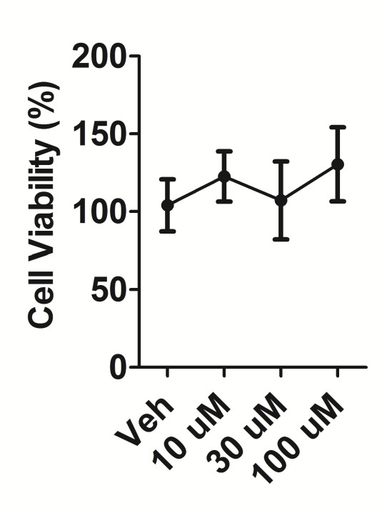 Figure 6—figure supplement 2.