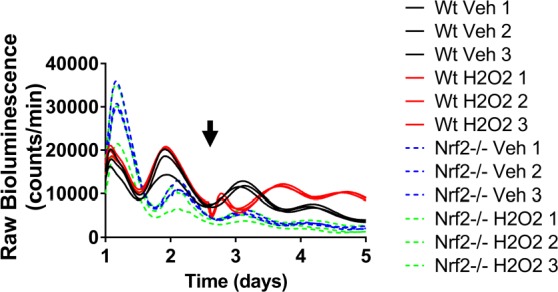 Figure 4—figure supplement 5.