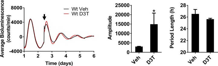 Figure 4—figure supplement 2.