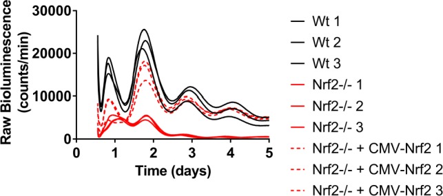 Figure 2—figure supplement 2.