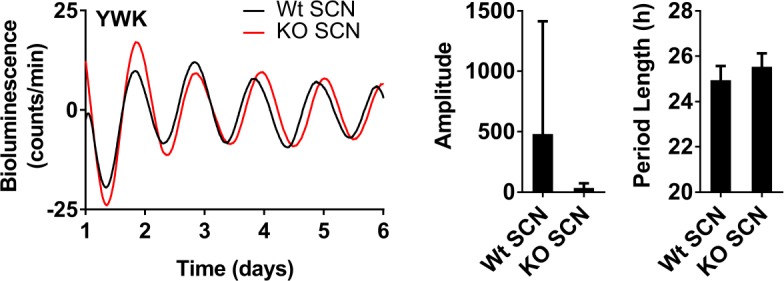 Figure 5—figure supplement 2.