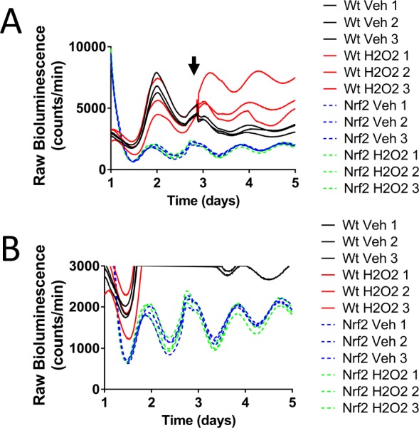 Figure 4—figure supplement 4.