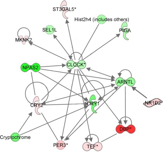 Figure 1—figure supplement 1.