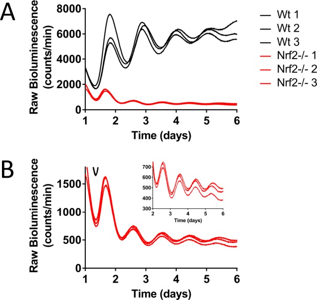 Figure 2—figure supplement 1.