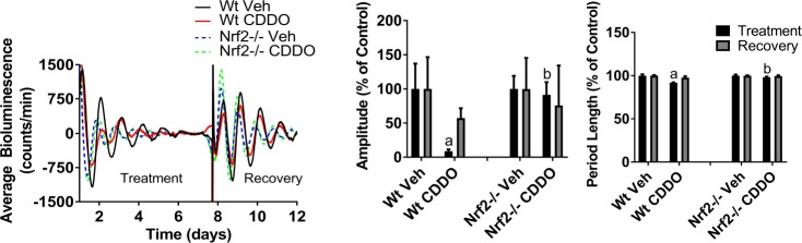 Figure 1—figure supplement 2.