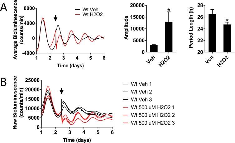 Figure 4—figure supplement 3.