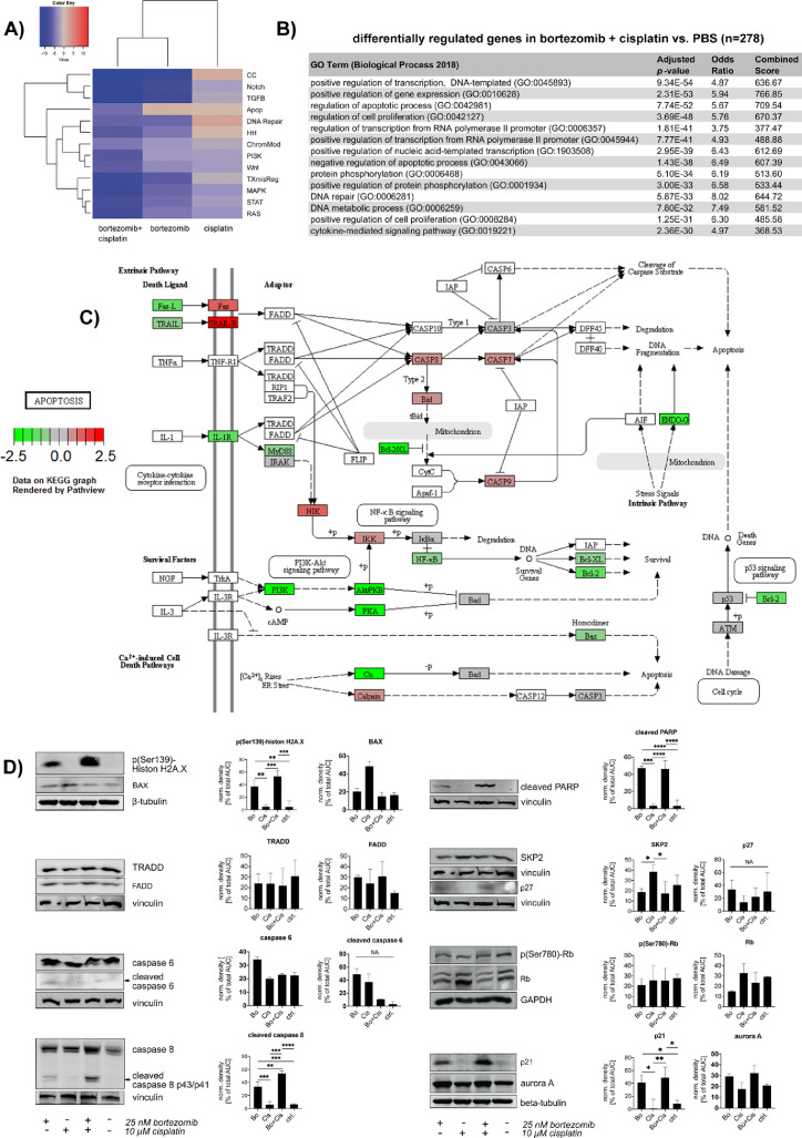 Figure 2: