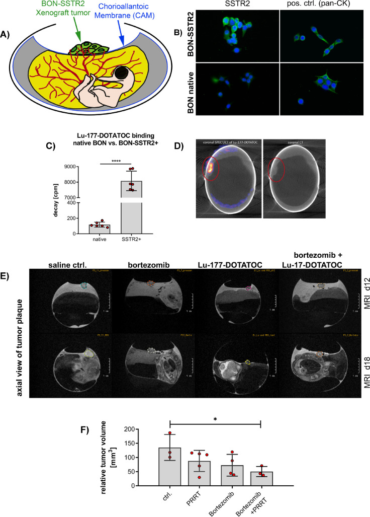 Figure 3: