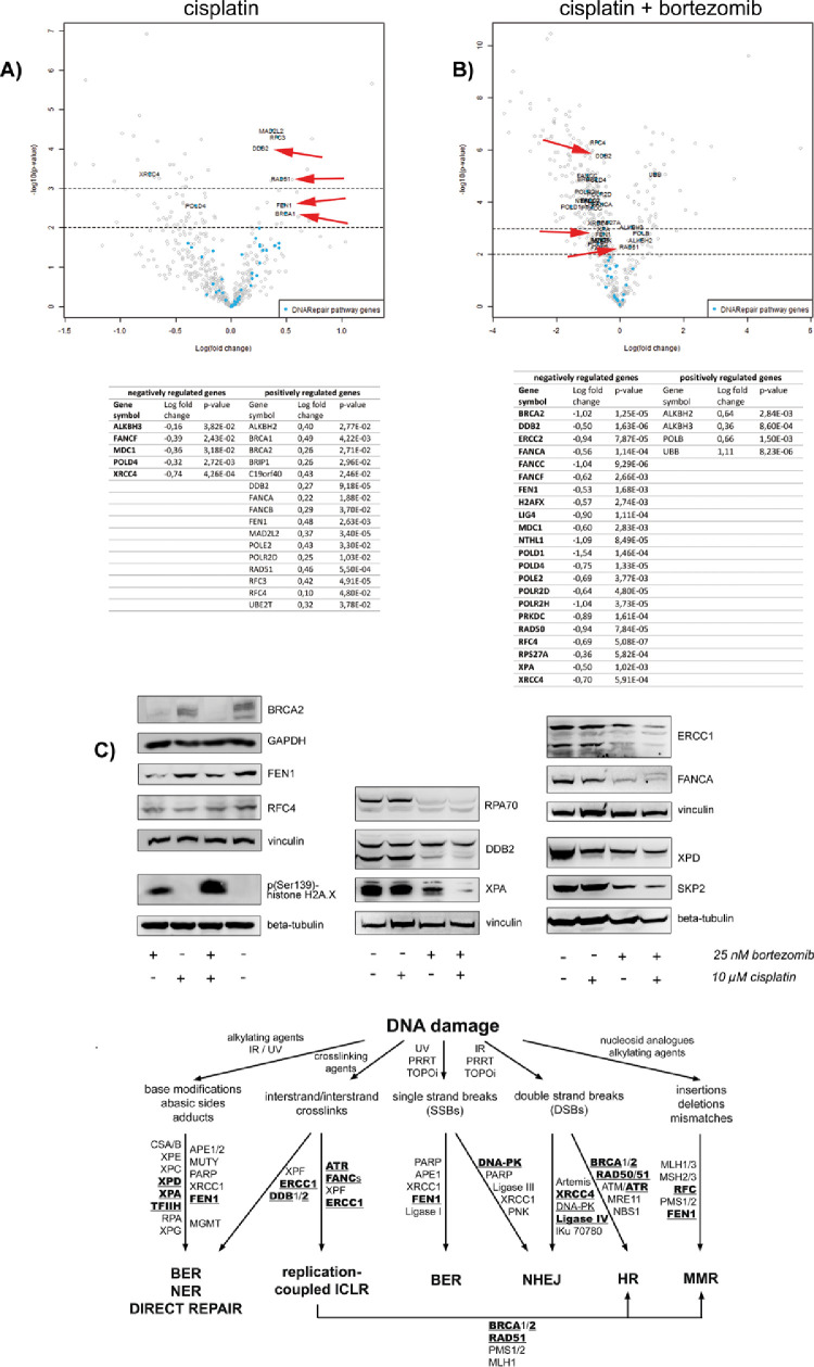 Figure 4: