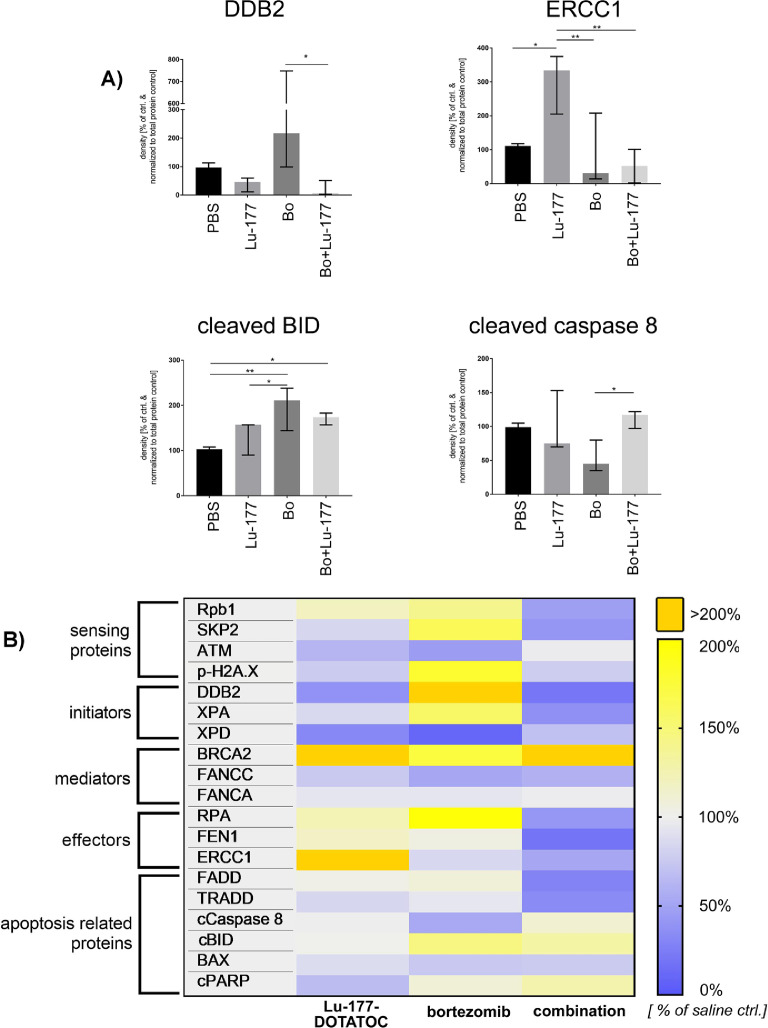 Figure 5: