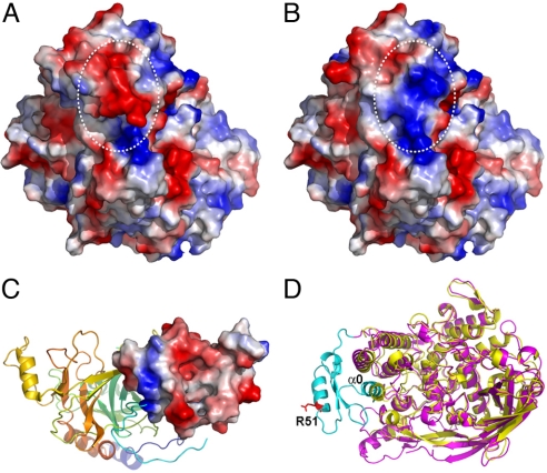 Fig. 4.