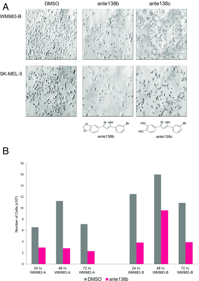 Fig. 3.