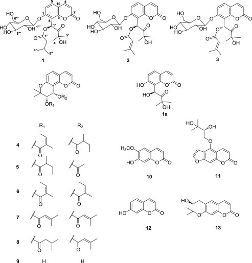 Fig. 1