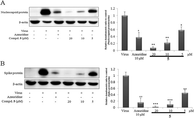 Fig. 6