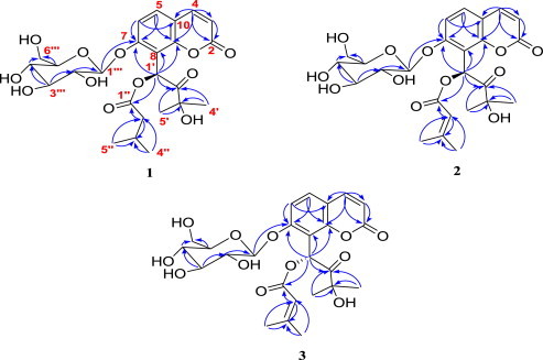 Fig. 2