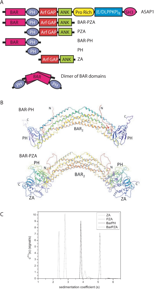 FIGURE 1.