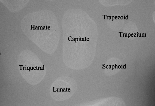 Fig. 10