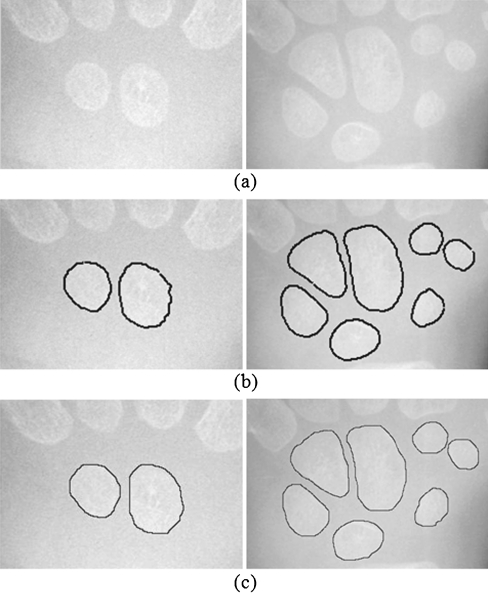 Fig. 13