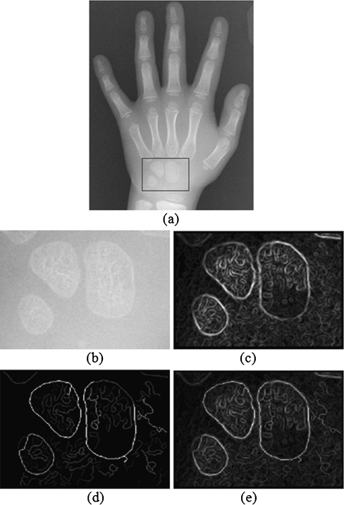 Fig. 7