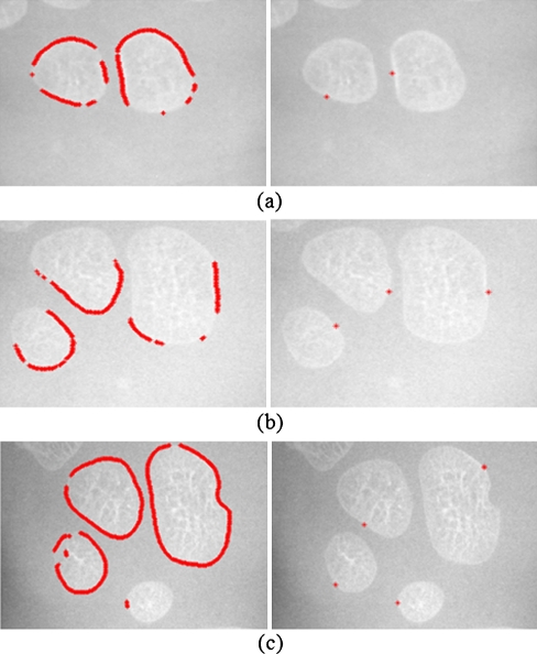 Fig. 8