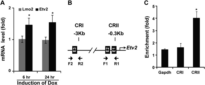 FIGURE 1.