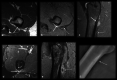 Fig. 13