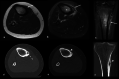 Fig. 10